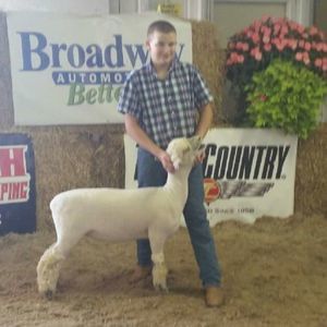 Meet your Posher, Matthew